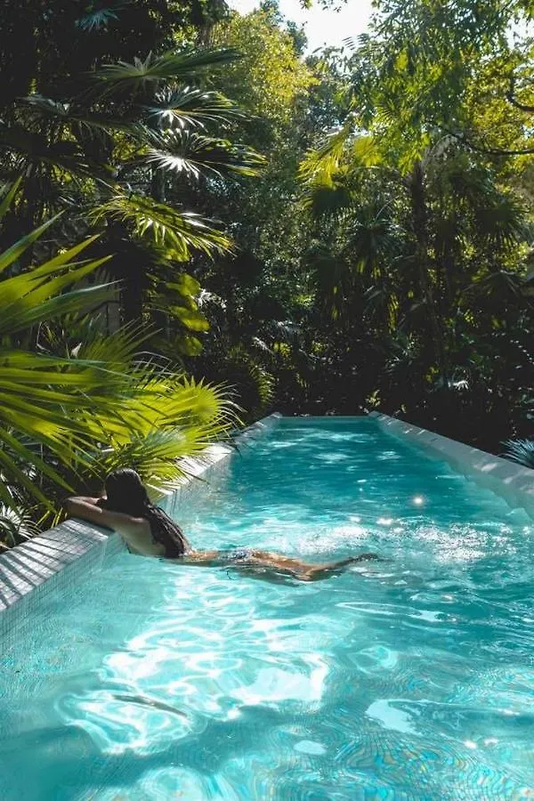 Apartment Luxury Loft Resort Amenities Akumal