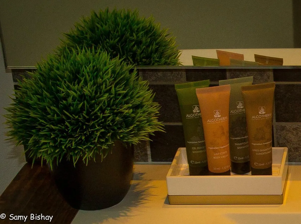 Luxury Loft Resort Amenities Akumal Apartment