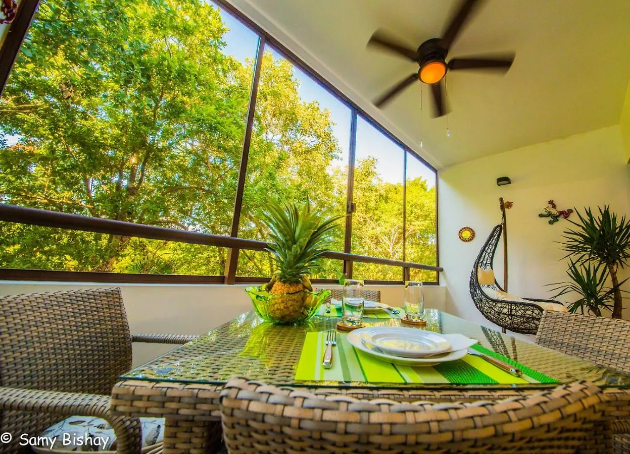 Luxury Loft Resort Amenities location